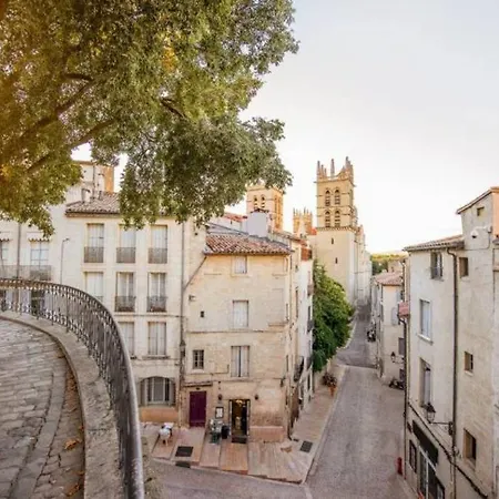 Lejlighed Beaux Arts Avec Clim Et Terrasse Montpellier