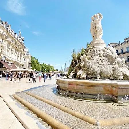 Beaux Arts Avec Clim Et Terrasse * Montpellier